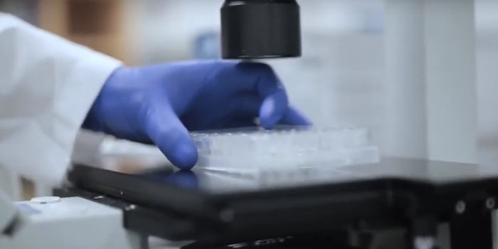 New Type of CAR T-Cell Therapy Headed for Clinical Trials