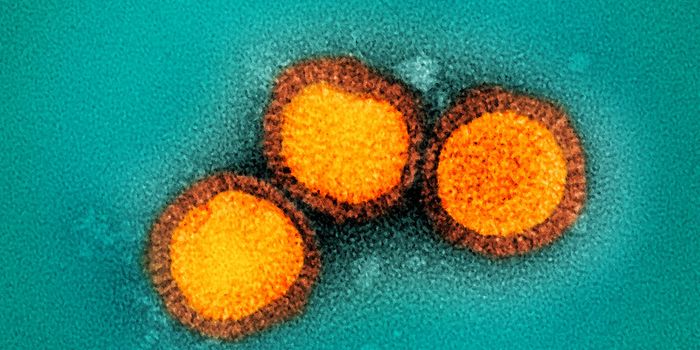 New Method Precisely Diagnoses Any Viral Infection, Known or Unknown
