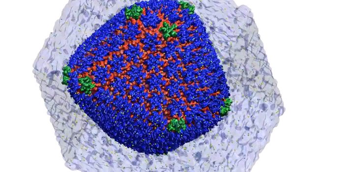HIV Genetic Code Shell Simulated By Supercomputer