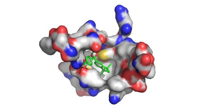 Compound Shrinks Tumors of Sarcoma Cells