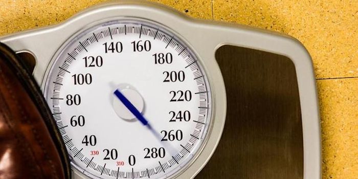 The Best Diet for us may Depend on Our Genes