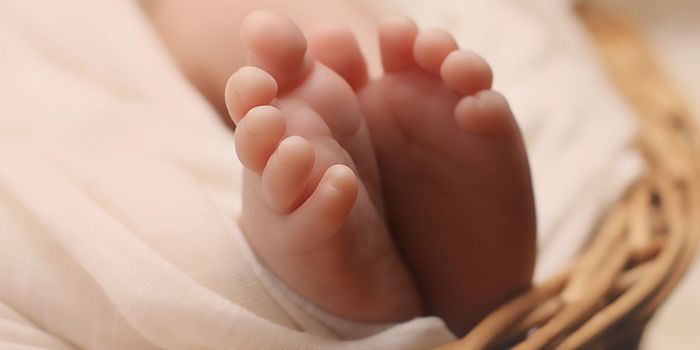 Potential Biomarkers of SIDS are Identified