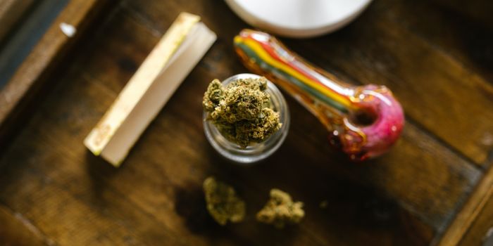 Study Explores the Effects of Cannabis on RSN Connectivity