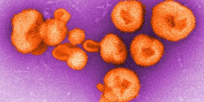 Bolivian Health Care Workers Sickened in Outbreak of Chapare Virus