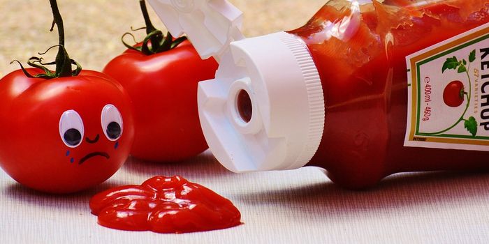 This branch of physics explains why ketchup's hard to pour