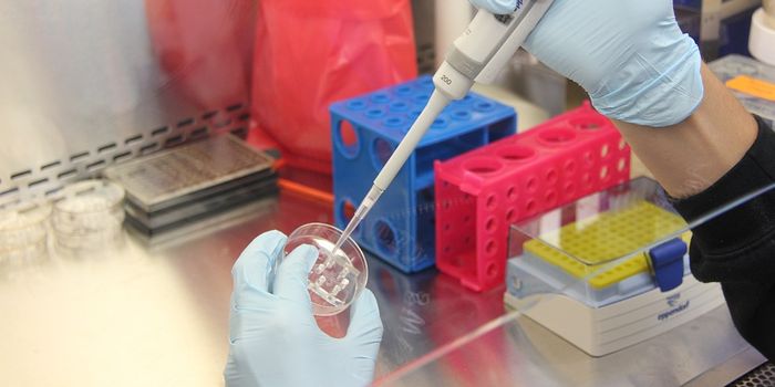 New immunotherapy for ovarian cancer