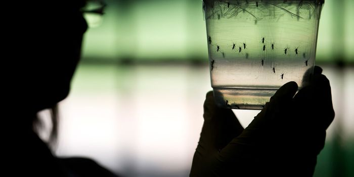 Dengue or West Nile May Protect You Or Put You At Risk for Zika Virus