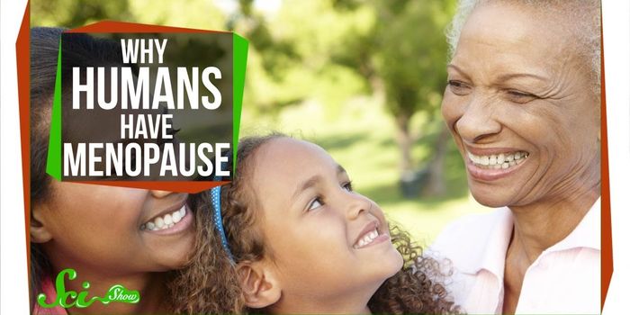 Menopause: Why Do Women Outlive Their Fertility?