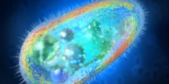 Great Odin's Ravens! The Missing Link Between Single-Cell Organisms & Human Cells Named For the Old Norse Deity