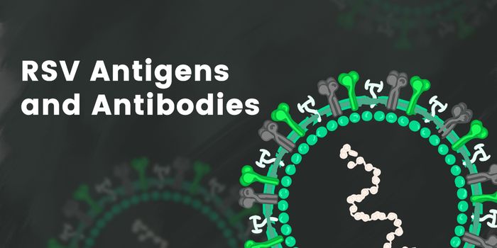 Respiratory Syncytial Virus Antigens and Antibodies