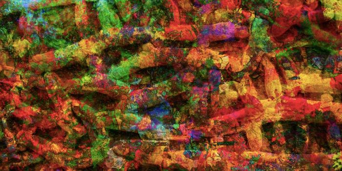 Researchers Reveal New Details of the Genetics of Spina Bifida