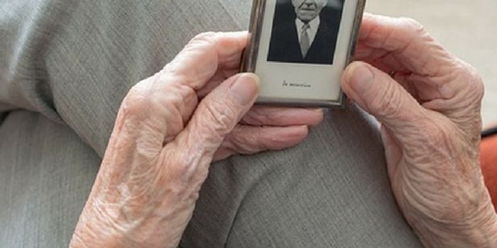 Investigating Prosthetic Memory Implants