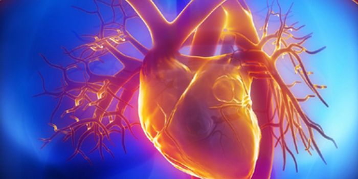 Mending a Broken Heart, Literally.