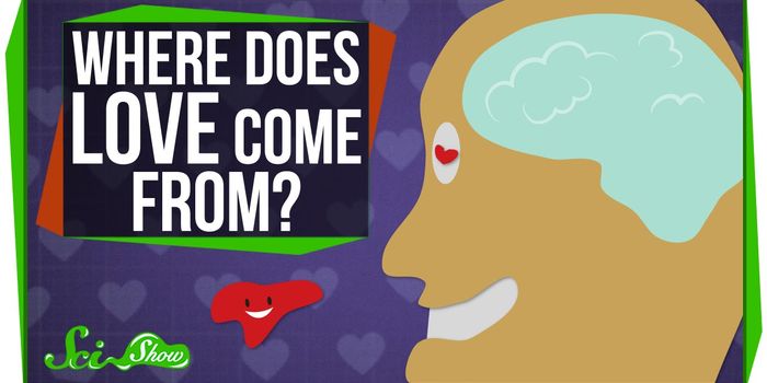 The Neuroscience of Love