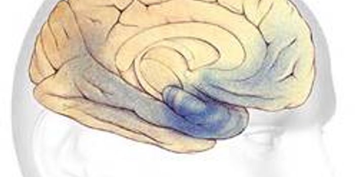 Scientists Engineer First Human Brain Cells with Alzheimer