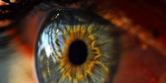 Could an Eye Scan Reveal Early Parkinson's Disease?