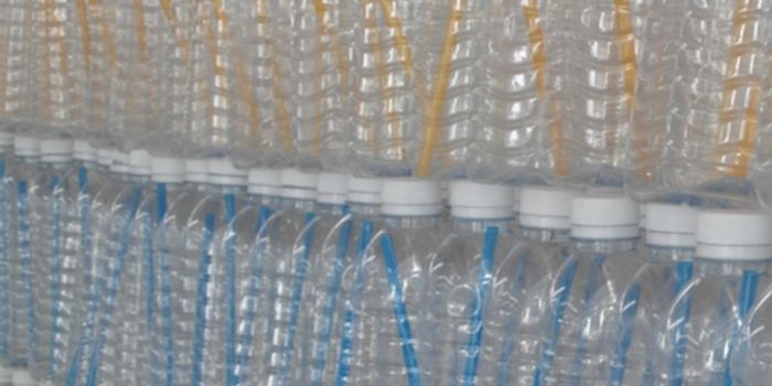 BPA Alternatives Have Dangers of Their Own