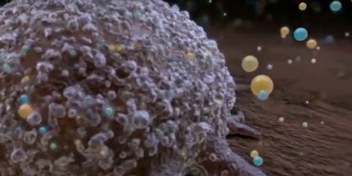 Exosomes are Involved in Brain Development