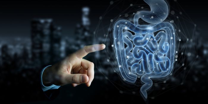 Intestinal Macrophages Promote Chronic Inflammation in Obesity