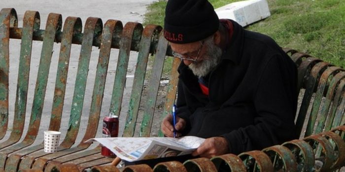 Keeping the Brain in Shape With Crossword Puzzles