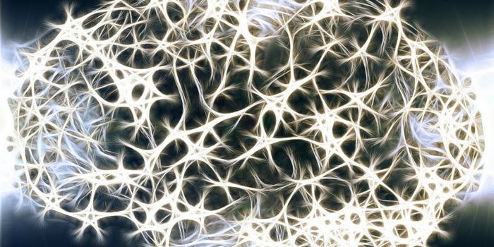 Cannabidivarin...The Next Medicinal Phytocannabinoid?