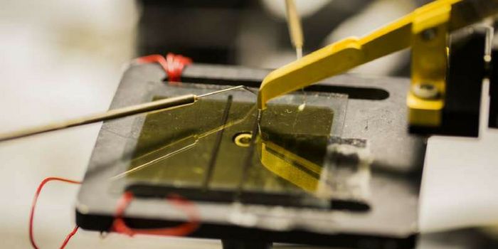 Going Organic: Discovery Can Boost Carbon-based Solar Cells Development