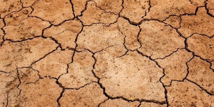 Water scarcity predicted to worsen in more than 80% of croplands globally this century