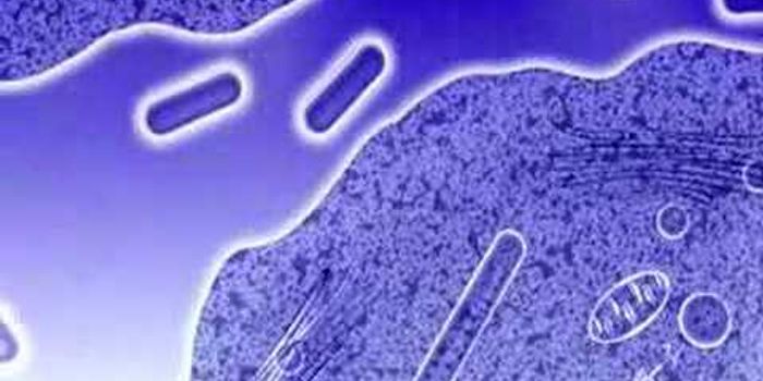 Don Cruikshank's Video