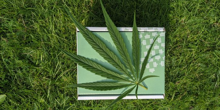 What are dab rigs, and how do they work?