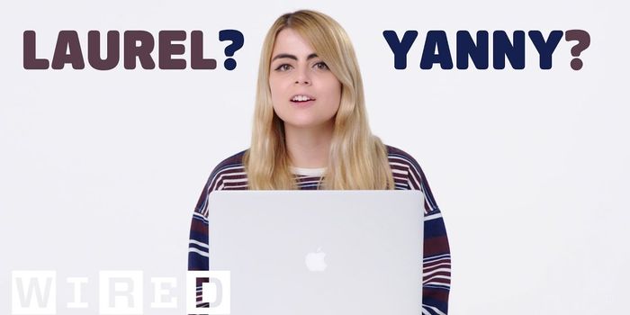 The neuroscience behind Laurel vs. Yanny