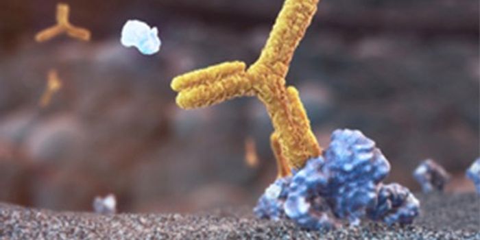 Genetic Profile Determines Who Will Benefit from Colon Cancer Drug