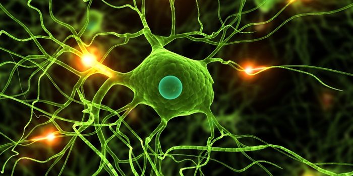 Linking the Immune Cells of the Brain to Alzheimer's