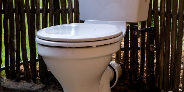 The way to the heart is through the toilet seat. Casana raises $30million for its blood pressure monitoring toilet seat.