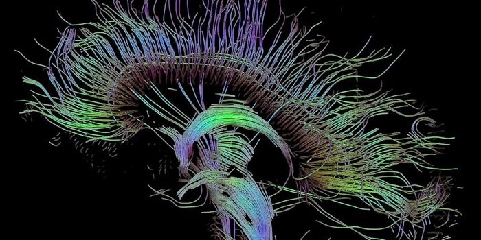 The Molecular Signature of the Human Brain