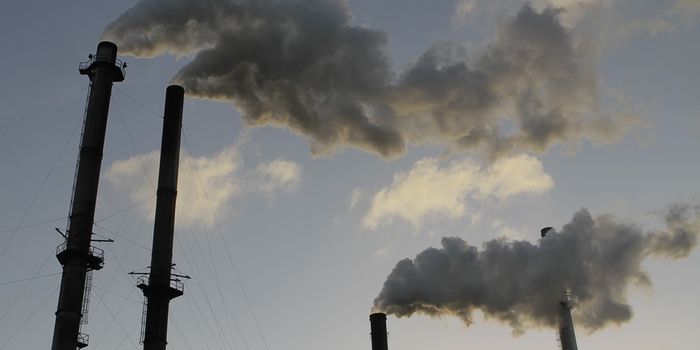 How Smoke Damages Developing Embryos