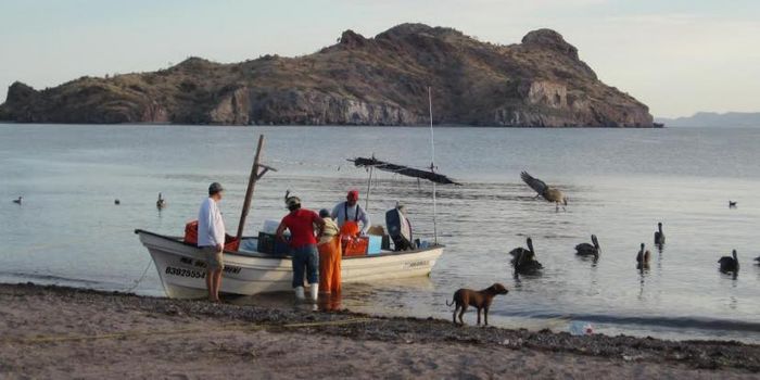 How does participating in conservation projects impact human nature?