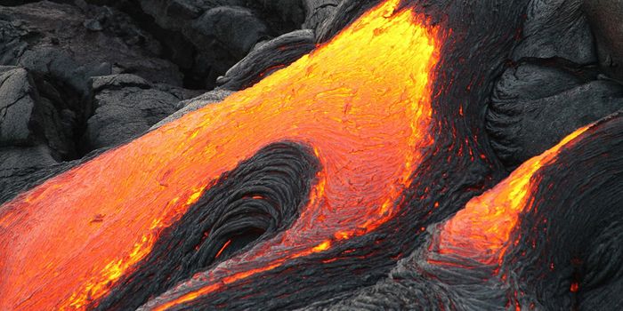 Massive Phytoplankton Bloom Resulted from Kilauea's Eruption