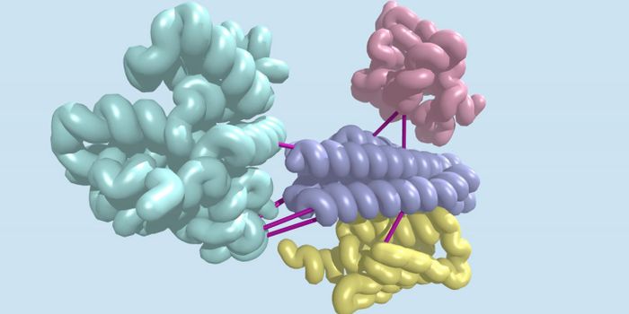 Revealing Protein Interactions by Studying the Genome