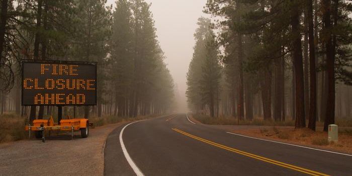 Enhanced Database Aids Wildfire Managers in Predicting Fires