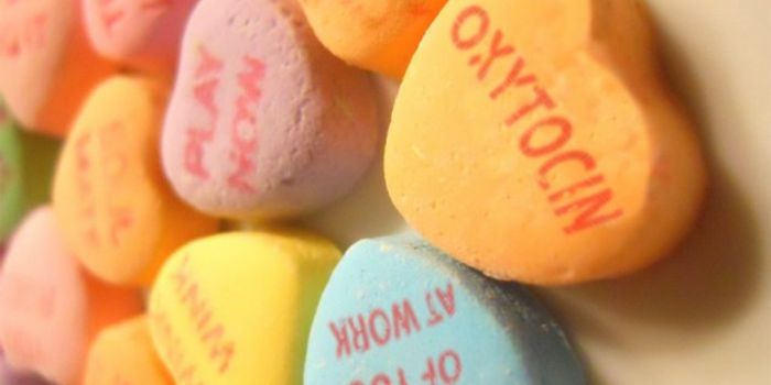 Drunk in Love- What We Did Not Know about the "Cuddle Hormone"