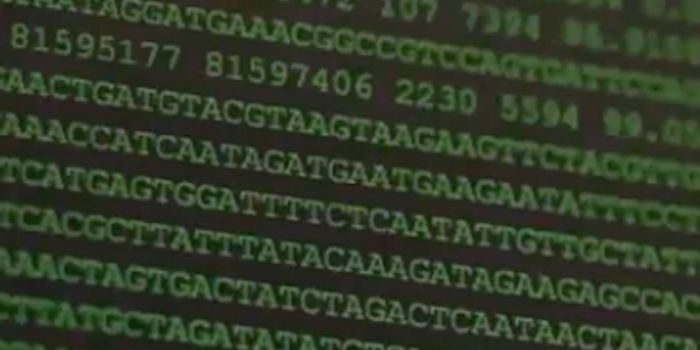 Learn About Bioinformatics with the Wellcome Genome Campus