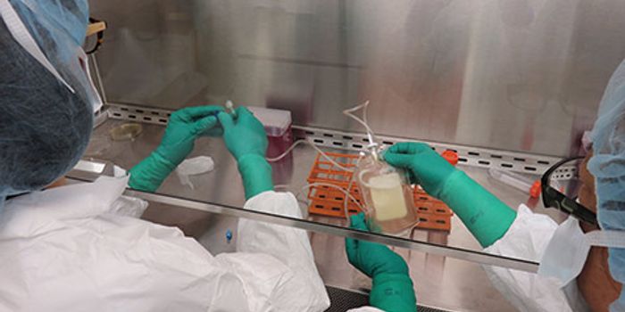 Personalized Melanoma Vaccines Marshal Immune Response