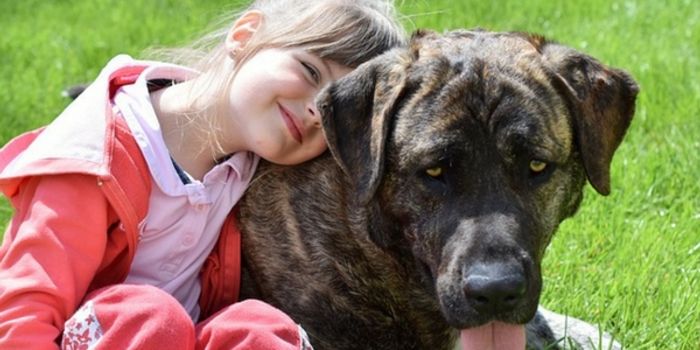 Can Having a Dog Reduce Allergies and Asthma?