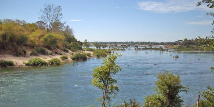 Dam in Laos Stirs Up Controversy and Fish