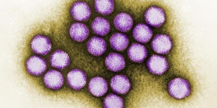 Child Hepatitis Cases Linked to Viral Co-Infection
