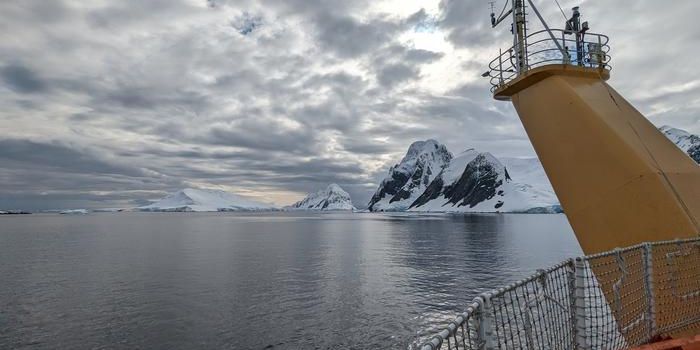Southern Ocean CO2 Absorption Underestimated