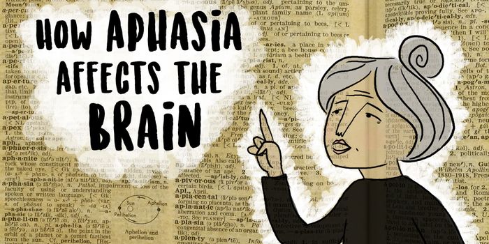 Aphasia: Clinically at a Loss for Words