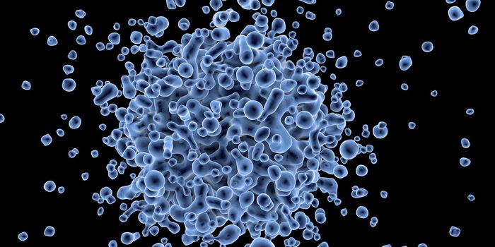 Cell Death Switch Activates Cancer Death