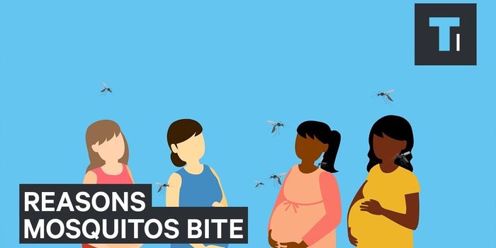 Yes, Mosquitoes Prefer Certain People Over Others