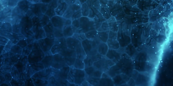 A Protective Immune Mechanism That Shields the Gut is Discovered
